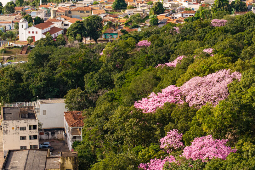 Arquivo