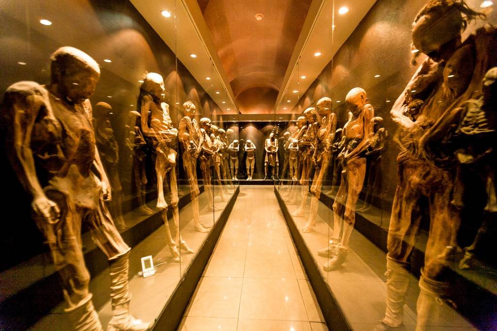 Corredor de museu com múmias em vitrines de vidro, iluminadas por luzes quentes. As múmias, de cor marrom-clara, estão em pé, algumas com roupas esfarrapadas, refletidas no chão e nas paredes escuras. Ao fundo, mais múmias em uma sala.