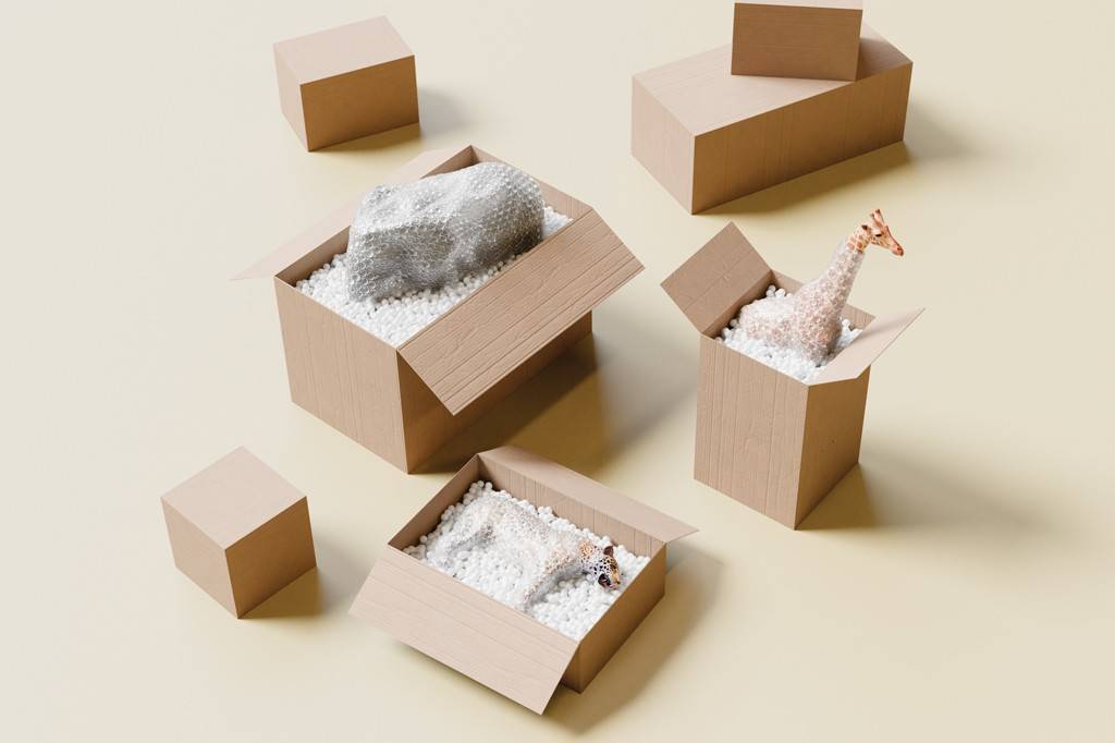 SI_488_Zoológico_2 Caixas de papelão abertas com animais de brinquedo envoltos em plástico bolha e isopor: uma girafa, um leopardo e um rinoceronte. Outras caixas fechadas estão espalhadas sobre um fundo bege, sugerindo transporte de itens frágeis.