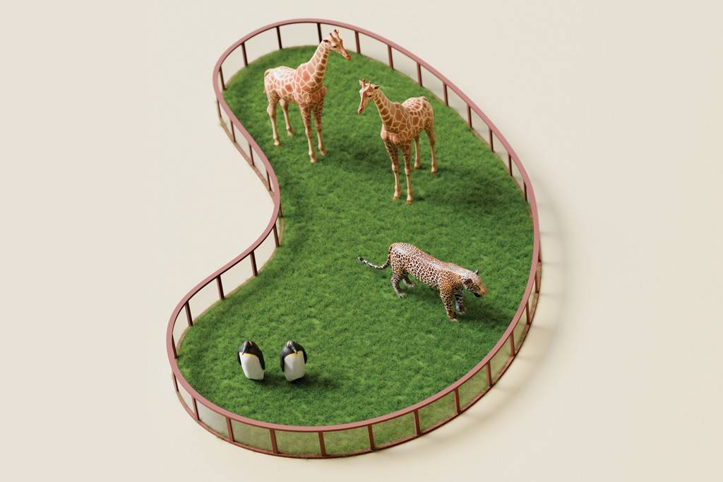SI_488_Zoológico_4 Miniaturas de dois pinguins, um leopardo e duas girafas em um cercado com grama verde, simulando um zoológico. O cercado tem formato irregular, com bordas marrons e divisórias transparentes. O fundo é bege claro.