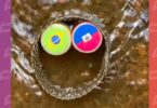 2026