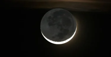 2026