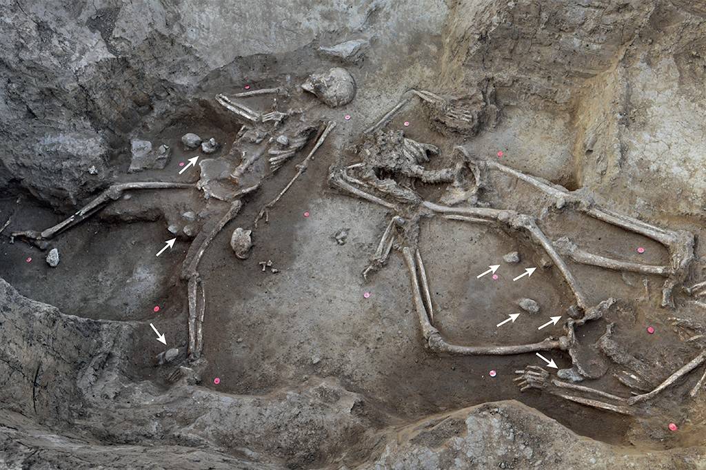 1706-esqueletos-layout_site-INT2 Dois esqueletos humanos em uma cova rasa, com ossos expostos e parcialmente cobertos por terra. O esqueleto à esquerda está deitado de costas, com os braços estendidos. O esqueleto à direita está deitado de lado, com os braços dobrados. Pequenas pedras e marcadores cor-de-rosa pontuam o solo ao redor dos esqueletos, e setas brancas indicam alguns detalhes. O ambiente é de escavação arqueológica, com paredes de terra irregulares ao redor