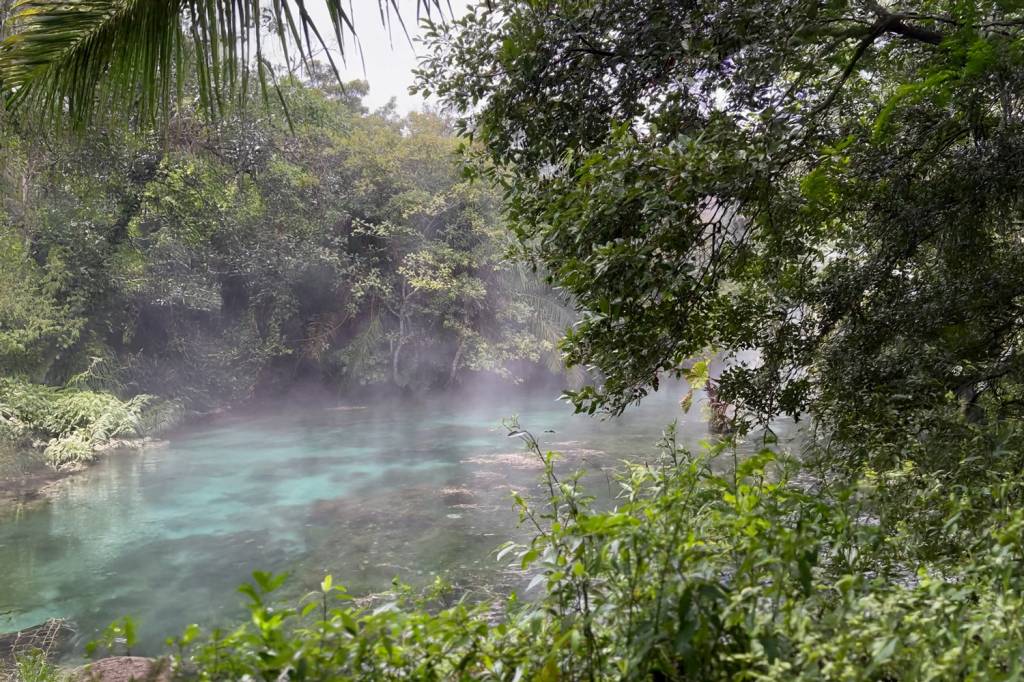 Nascente Azul Nevoa Bonito