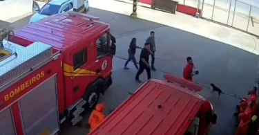 2026