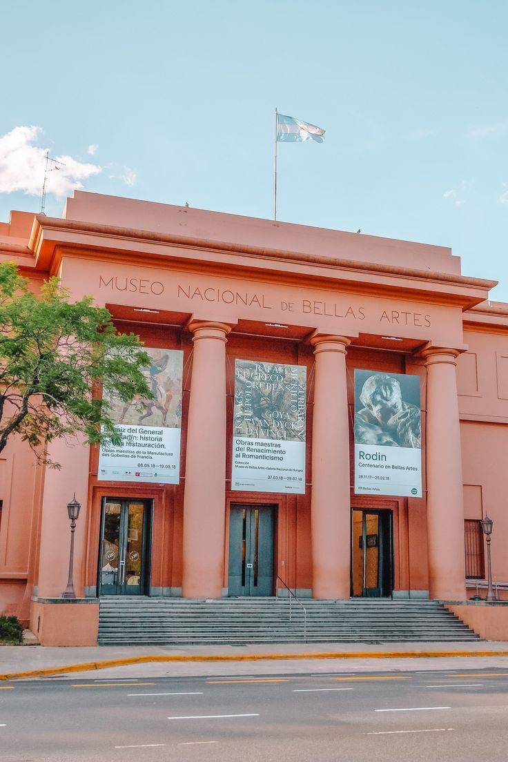 Fachada do Museu Nacional de Belas Artes, edifício rosa com colunas e três portas escuras. Três banners de exposições pendem entre as colunas, e uma árvore verde aparece à esquerda. No topo, uma bandeira tremula sob céu azul com nuvens esparsas