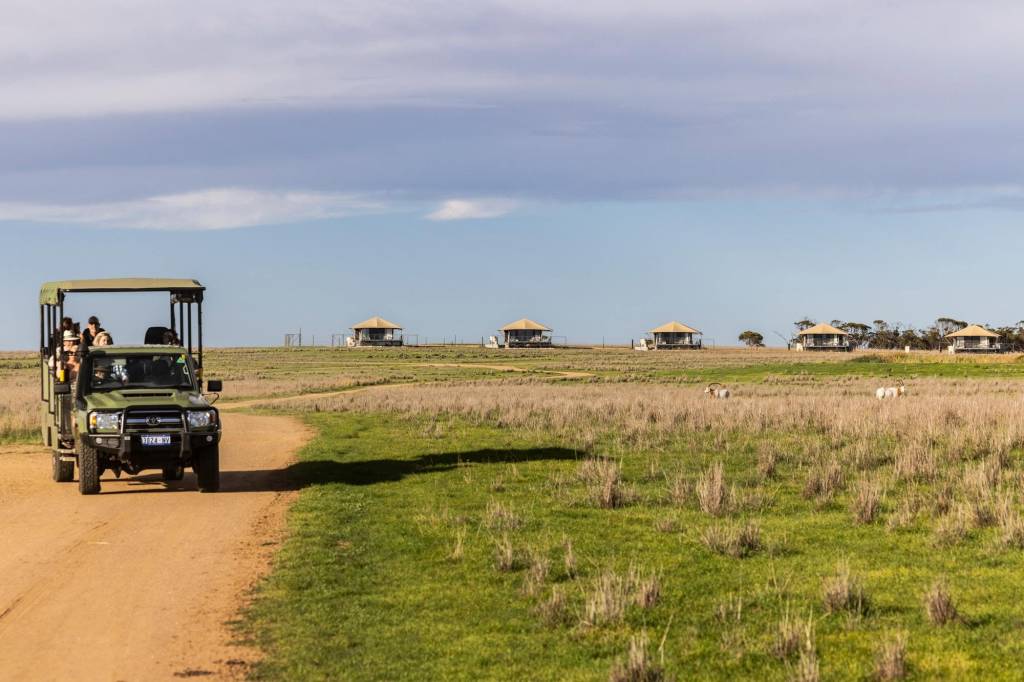 Jipe verde com turistas em um safári, percorrendo uma estrada de terra em campo aberto com grama seca. Ao fundo, sob céu azul com nuvens esparsas, há várias cabanas de teto claro e paredes escuras, e alguns animais pastando