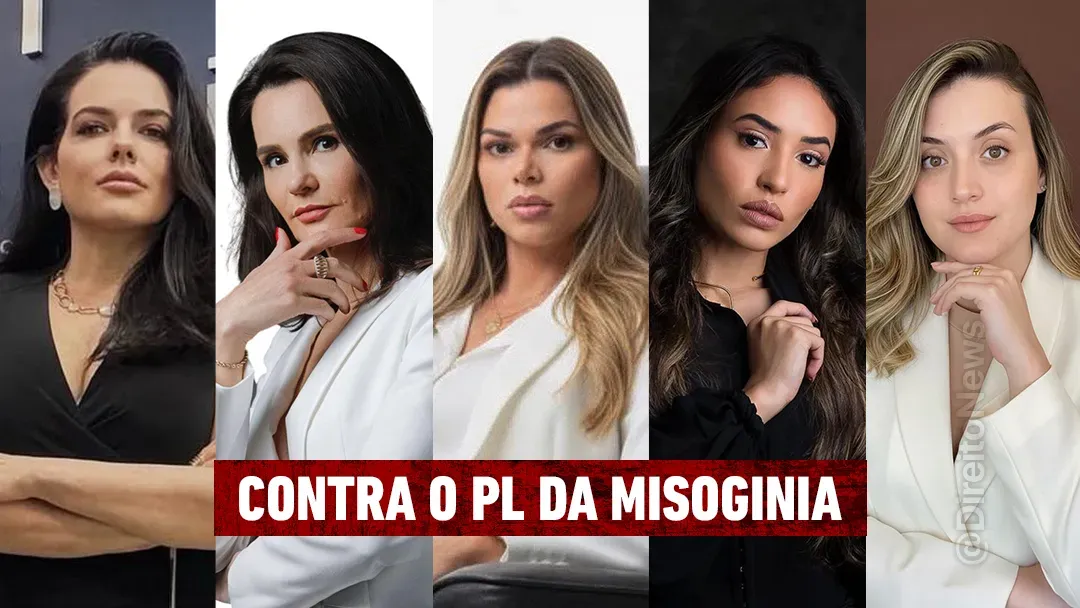 advogadas onu oea parecer criticas relatorio pl misoginia apontam graves violacoes constitucionais advogadas onu oea parecer criticas relatorio pl misoginia apontam graves violacoes constitucionais