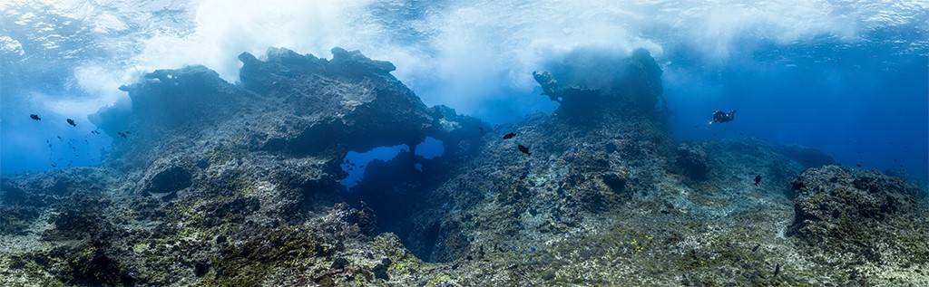 Vista subaquática de um recife de coral rochoso com formações escuras e irregulares, algumas com aberturas azuis. Pequenos peixes escuros nadam perto das rochas. No canto superior direito, um mergulhador solitário explora a água azul-clara, com a superfície ondulada visível acima