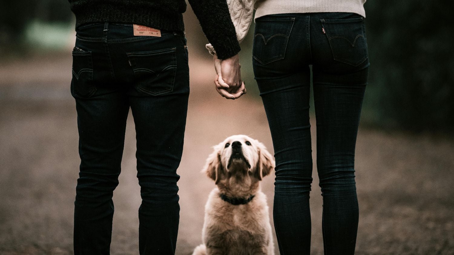 guarda-compartilhada-de-pets-entra-na-lei-brasileira-pexels-1 Guarda compartilhada de pets entra na lei brasileira Pexels (1)