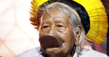 2026