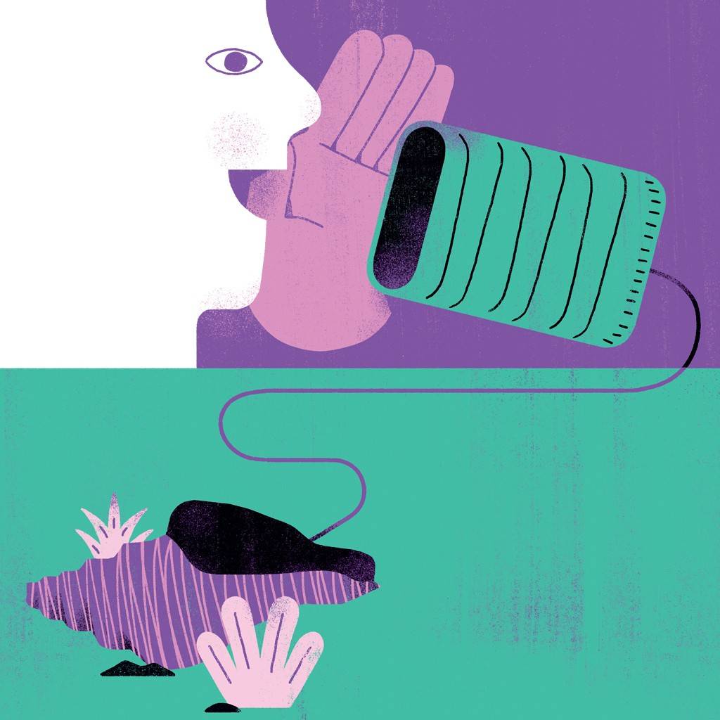 SI_489_Capa_Aliens_6 Ilustração de uma pessoa branca com a mão na boca, falando em um telefone de lata verde conectado por um fio roxo a um pássaro preto em um ninho roxo, sobre um fundo verde. A imagem sugere comunicação e conexão.