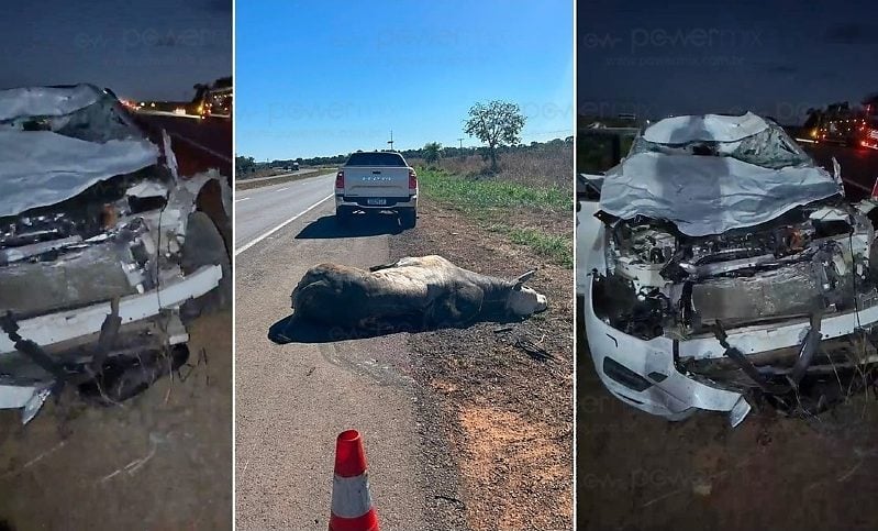 Médico bate em touro na BR-163, próximo a Nova Mutum, e escapa com ferimentos leves Médico bate em touro na BR-163, próximo a Nova Mutum, e escapa com ferimentos leves