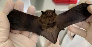 2026