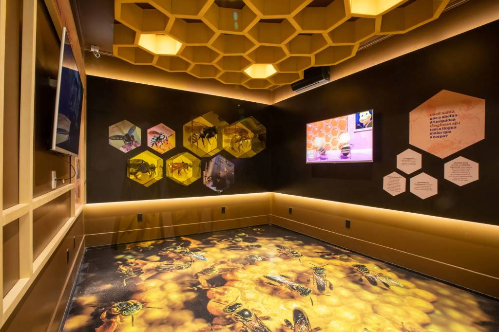 Ambiente de exposição com teto em colmeia amarela iluminada, paredes escuras com painéis hexagonais de abelhas e textos informativos, e chão com imagem de abelhas sobre mel