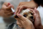 2026