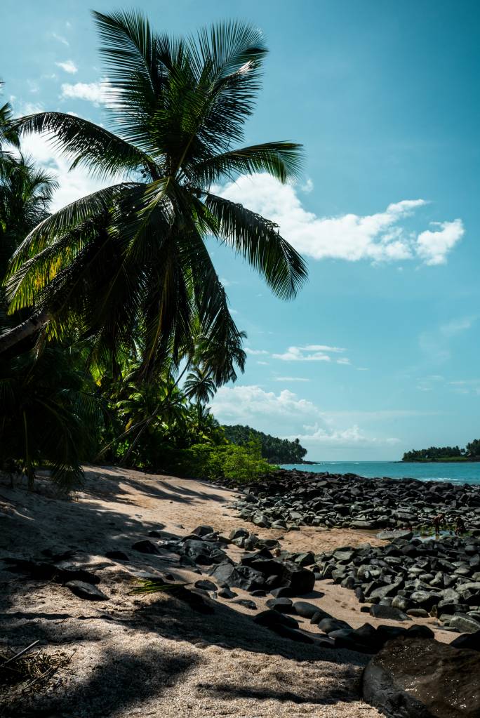 Praia tropical com areia clara, coqueiros exuberantes e muitas pedras escuras na orla, sob um céu azul com nuvens esparsas. O mar calmo reflete o azul do céu, e uma ilha verdejante aparece ao fundo