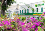 Arquivo