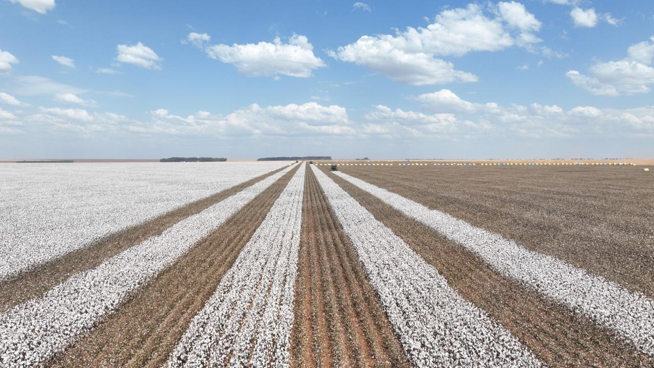 Em MT, fazenda utiliza tecnologia para conectar máquinas, clima e inteligência de dados