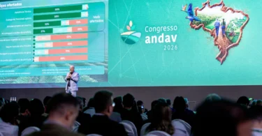 2026