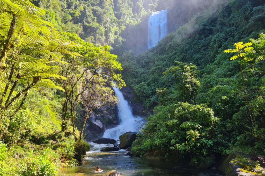 Duas cachoeiras em meio à Mata Atlântica, uma alta e distante, outra mais próxima, com um rio de águas claras e uma pessoa nadando, sob luz solar