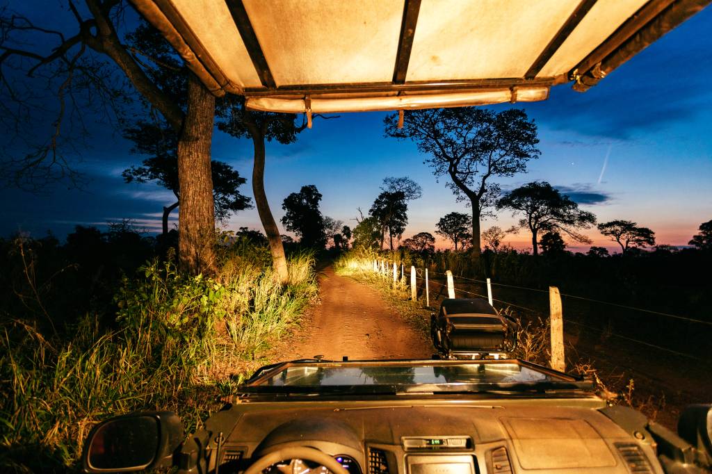 Vista do interior de um veículo 4x4 em uma estrada de terra iluminada por faróis, ao entardecer. O céu azul escuro se encontra com o horizonte laranja, com árvores escuras em silhueta. A vegetação densa e verde margeia a estrada, com postes de madeira e arame à direita. O teto de lona do veículo aparece na parte superior da imagem