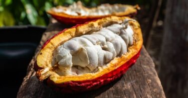 2026