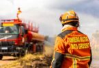 2026