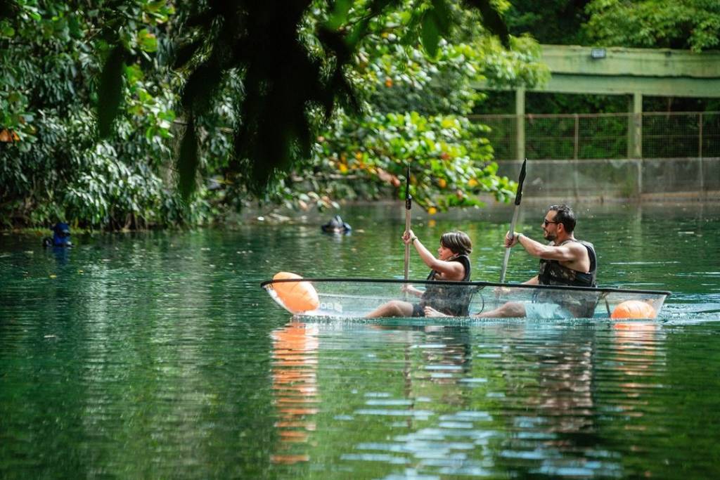 Um homem e uma mulher remam em um caiaque transparente sobre águas verdes e calmas, cercados por vegetação densa. Ambos usam coletes salva-vidas escuros e óculos de sol, com o homem à direita e a mulher à esquerda. Boias laranja flutuam nas laterais do caiaque, e a luz do sol reflete na água.