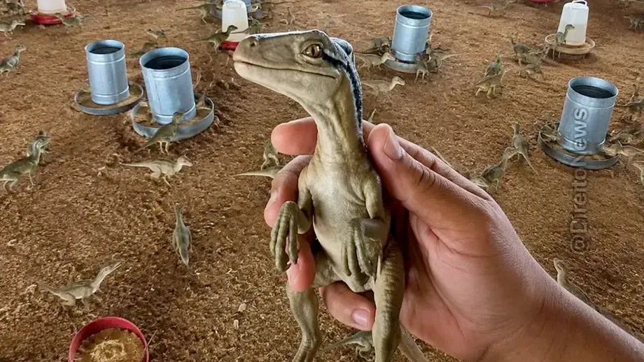 homem acredita anuncio web quase compra mini dinossauros 500 mg veja vídeo