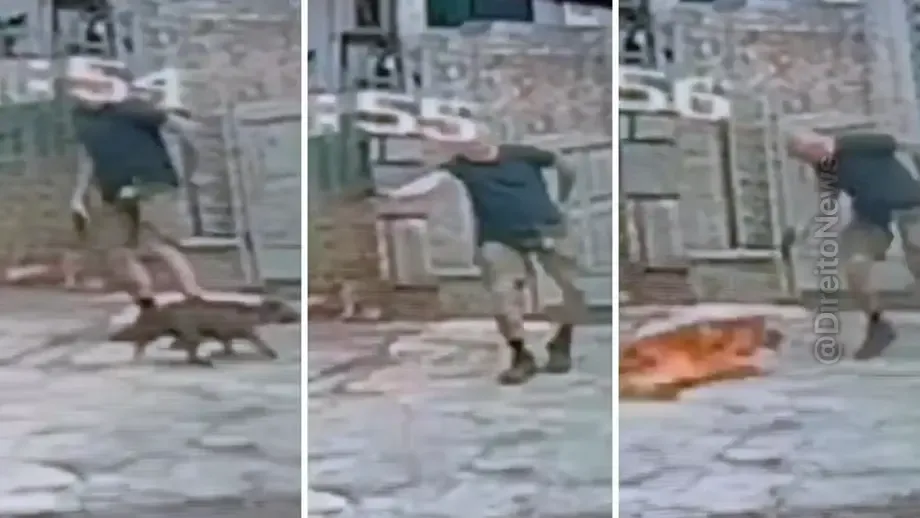 video cachorro morto tiros apos aproximar homem passeava outro cao tijuca