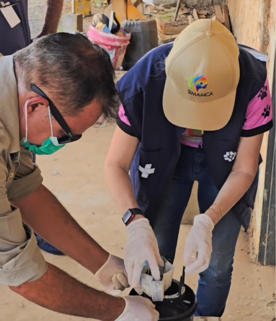 dengue-bb Tecnologia utiliza o próprio mosquito Aedes aegypti para disseminar larvicida e impedir o desenvolvimento de larvas em possíveis criadouros