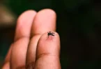 2026