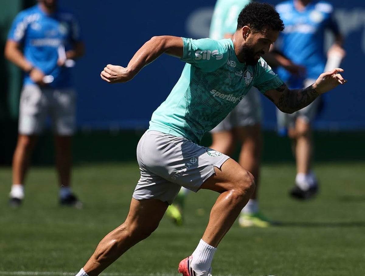 Mirassol x Palmeiras ao vivo: onde assistir ao duelo que pode esquentar o Brasileirão. Imagem: Cesar Greco/Ag. Palmeiras