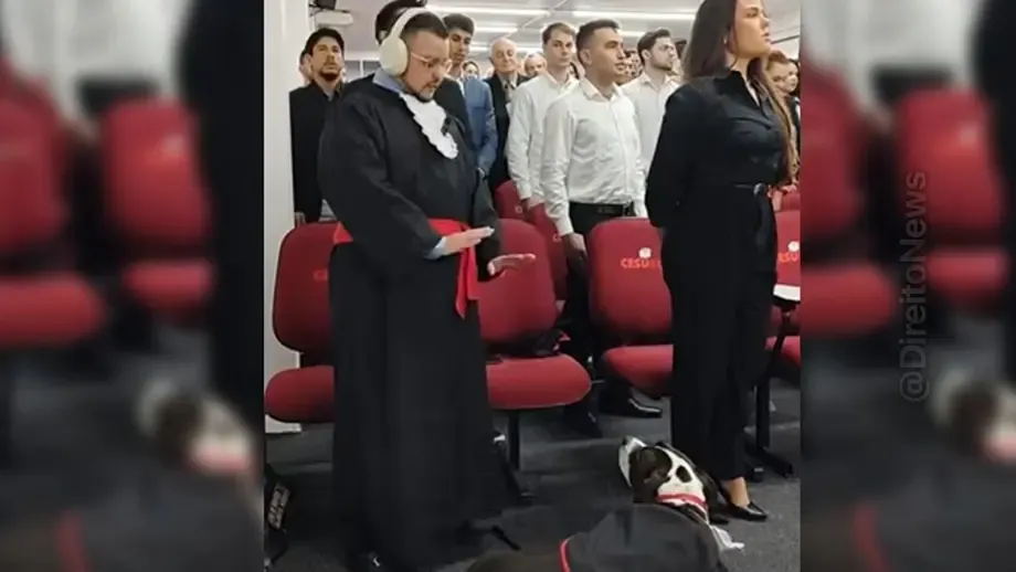 de olho cao guia percebe nervosismo checa tutor formatura direito