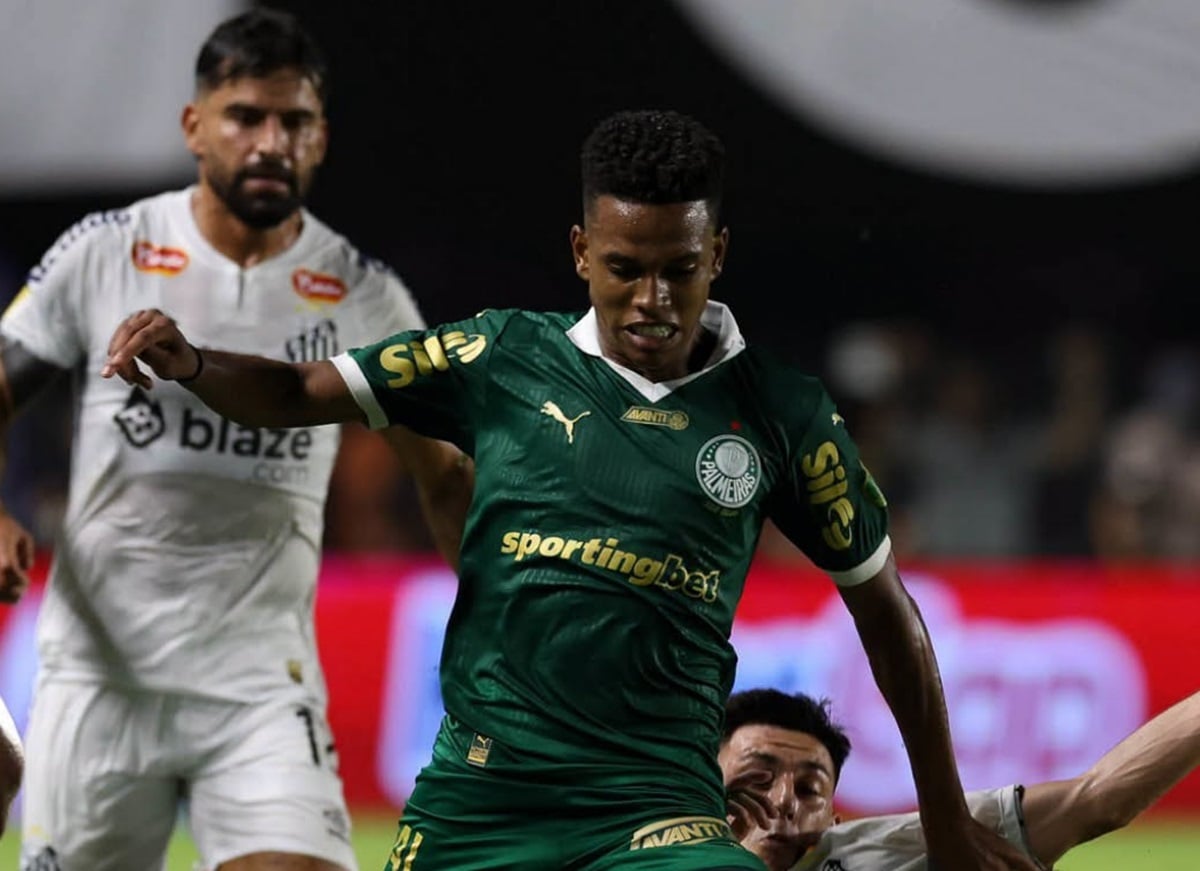 Botafogo x Palmeiras: onde assistir ao vivo pelo Brasileirão. Imagem: Cesar Greco/Ag. Palmeiras