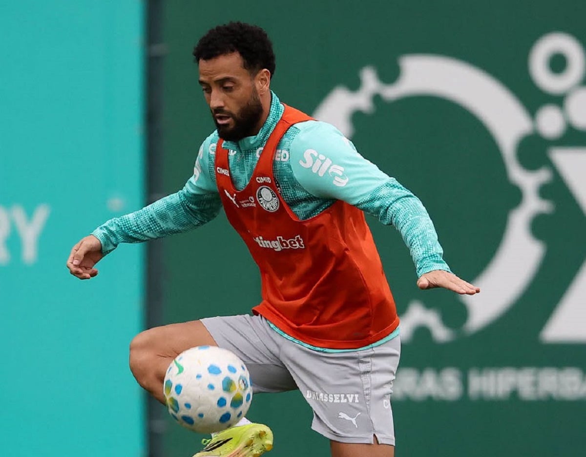 Palmeiras x LDU ao vivo: onde assistir duelo pela Libertadores. Imagem: Cesar Greco/Ag. Palmeiras