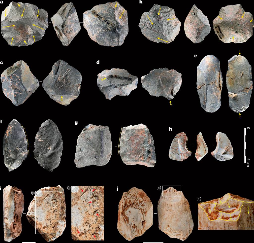 Nove conjuntos de artefatos de pedra e osso, exibidos em pares ou trios, com setas amarelas indicando marcas de uso ou detalhes específicos. A escala vertical à direita mostra 5 cm.