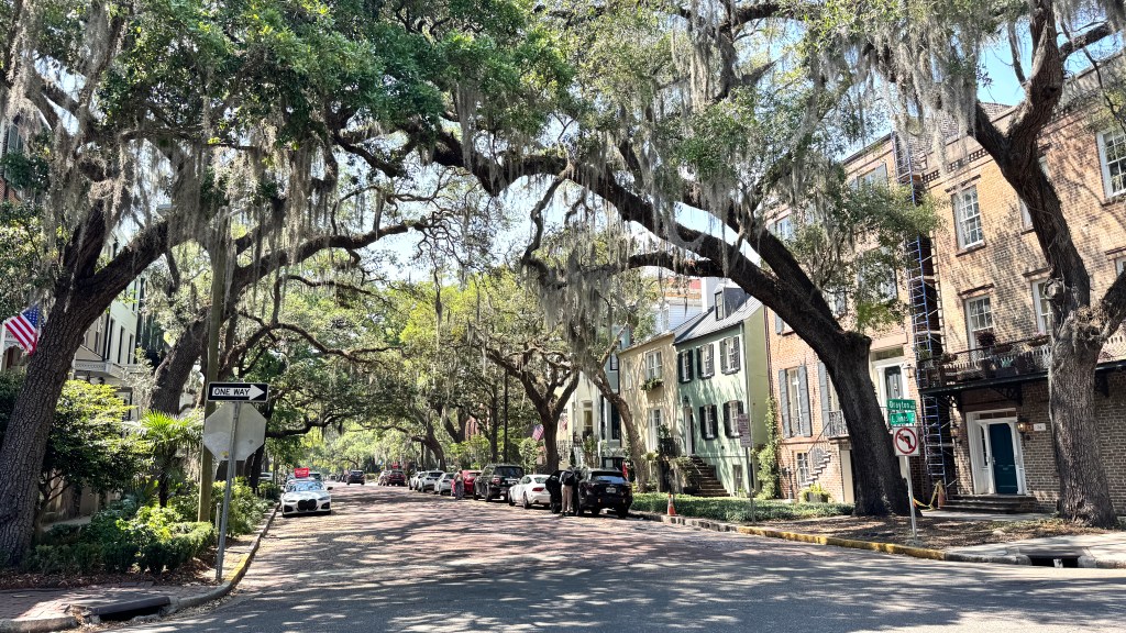 Rua arborizada com carvalhos majestosos cobertos por musgo espanhol, formando um túnel verde sobre a via. Carros estacionados e casas históricas de tijolos e cores claras ladeiam a rua, sob um céu azul claro. Uma bandeira americana e placas de trânsito são visíveis.