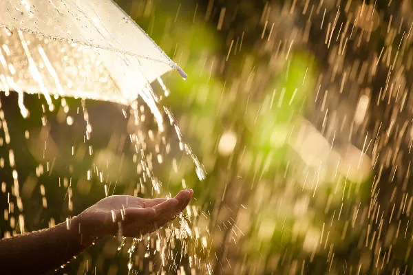 2026