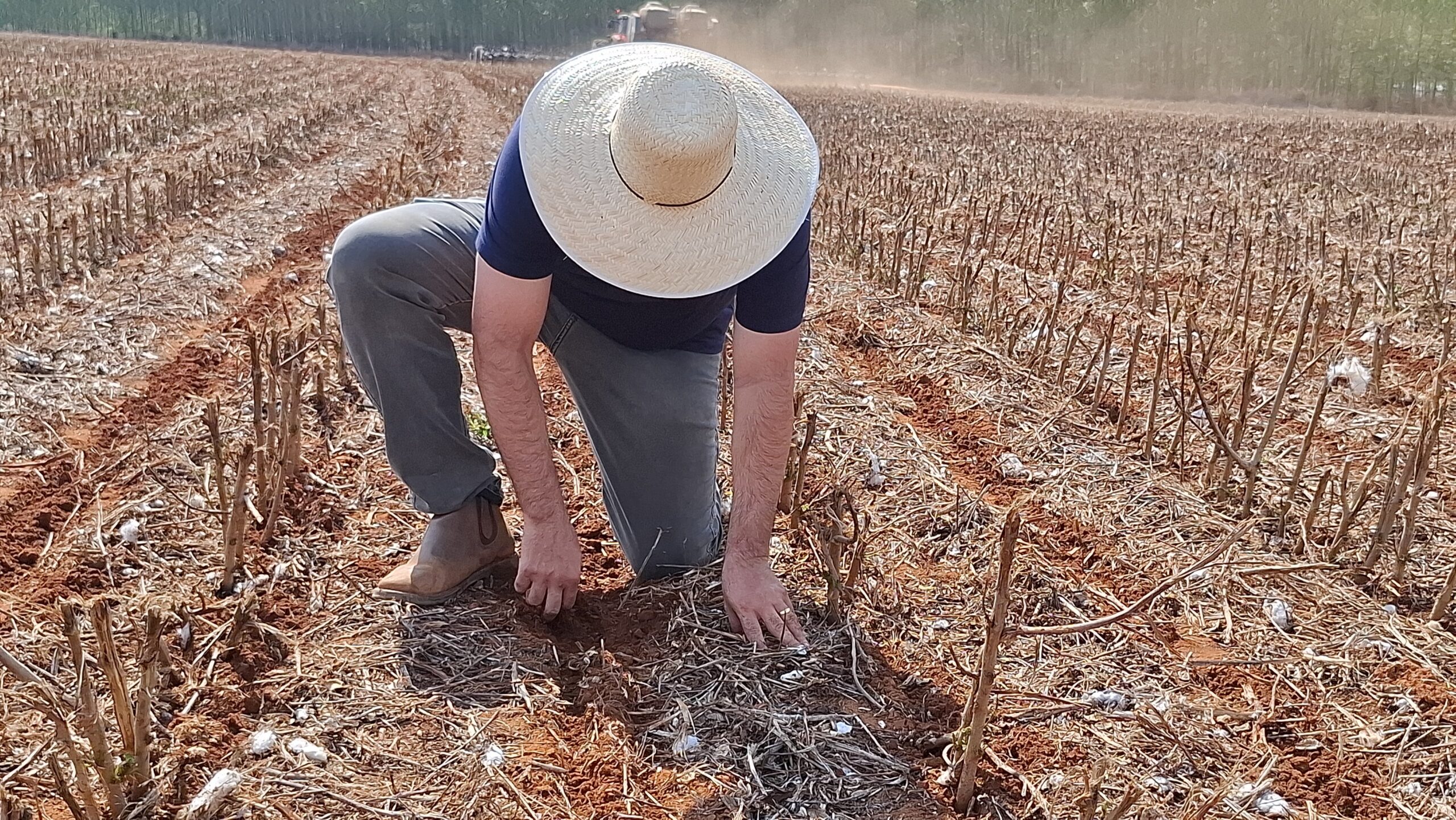 20261001_141759 Com chuvas recentes que aliviam o solo no médio-norte mato-grossense, ritmo dos trabalhos avança com cautela, custos elevados de produção e aperto no crédito rural.