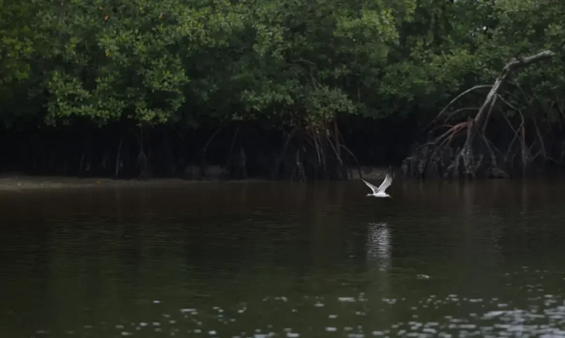 2026