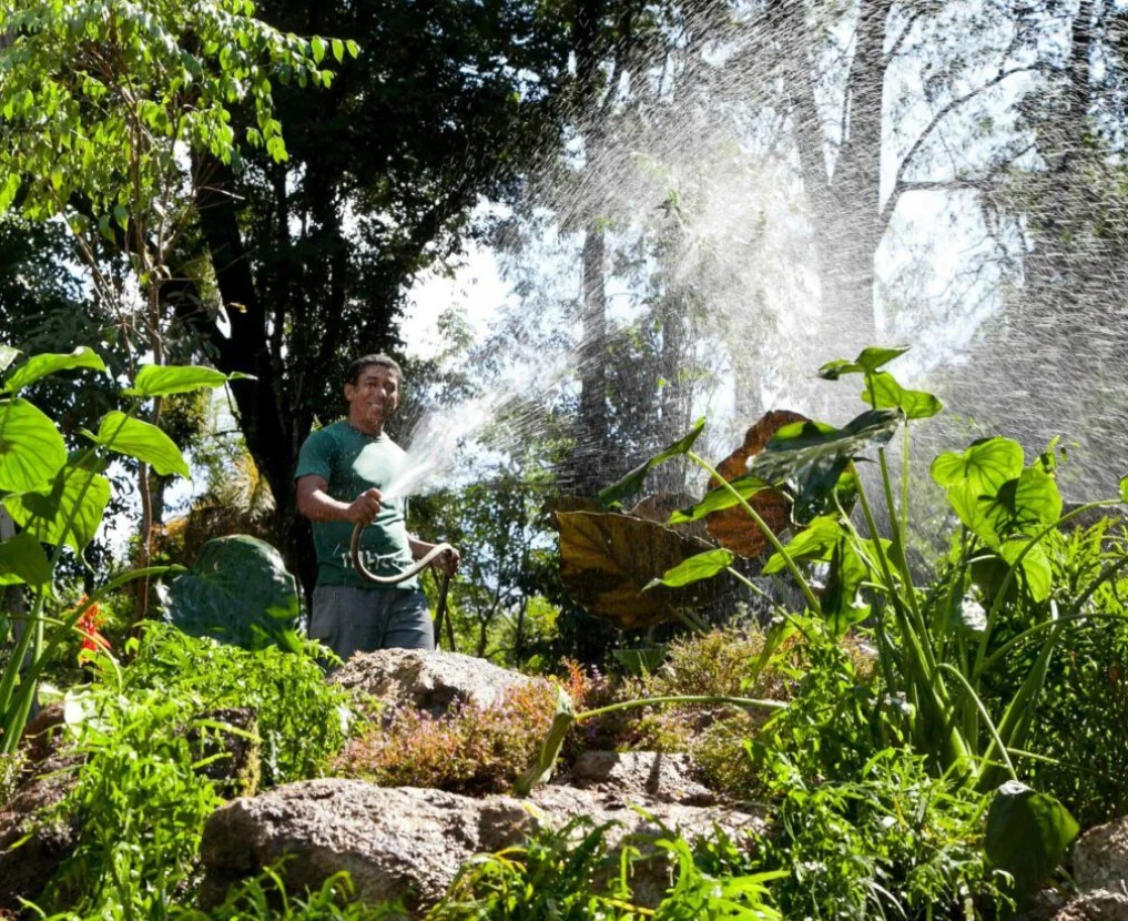Homem sorridente de camiseta verde e bermuda cinza regando plantas com uma mangueira, em um jardim exuberante com folhagens verdes e grandes rochas. A água espirra no ar, iluminada pelo sol, criando um efeito de névoa.