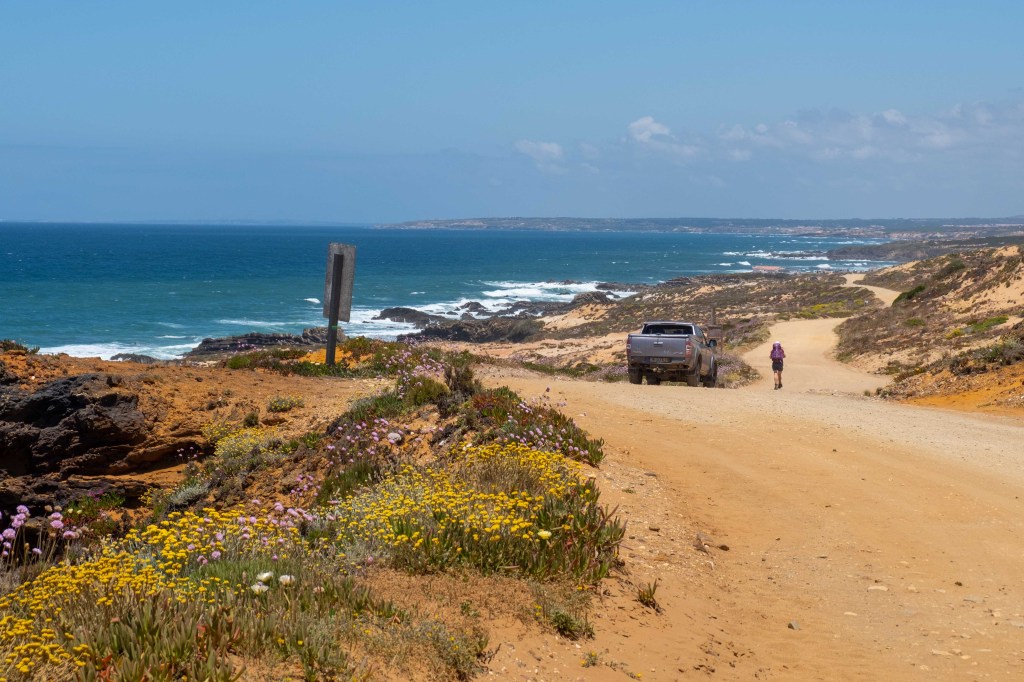 Estrada de terra em paisagem costeira com vegetação rasteira florida, um carro cinza estacionado e uma pessoa com mochila roxa caminhando. O oceano azul com ondas quebrando na costa rochosa e um céu claro com poucas nuvens completam a cena.