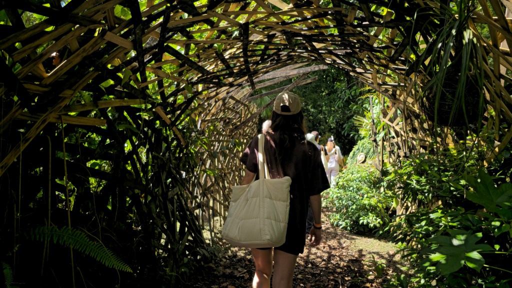 Jovem de boné e camiseta escura, com bolsa creme, caminha por túnel de madeira entrelaçada e vegetação exuberante, com outras pessoas ao fundo