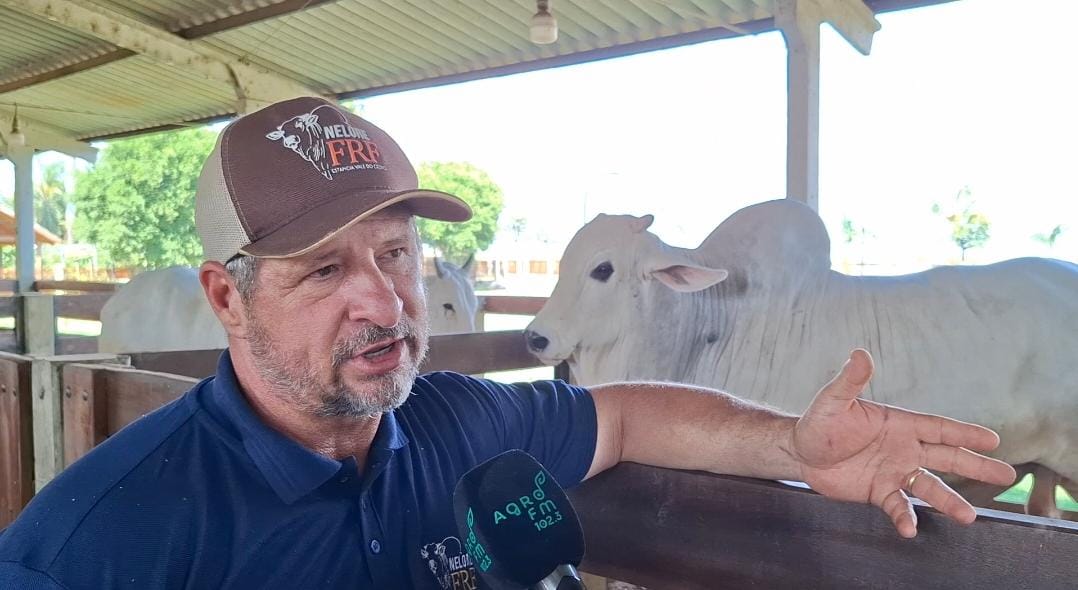 flavio Em Mato Grosso, polo estratégico do agronegócio, o avanço da tecnologia e o aperfeiçoamento constante do rebanho têm garantido a competitividade do setor