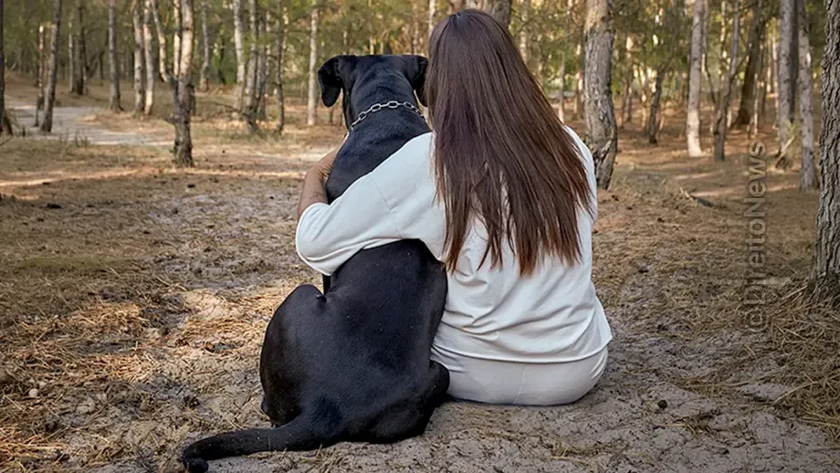 Crueldade encomendada: mulher é condenada por mandar matar cachorro da própria filha por R$ 100