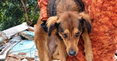 2026