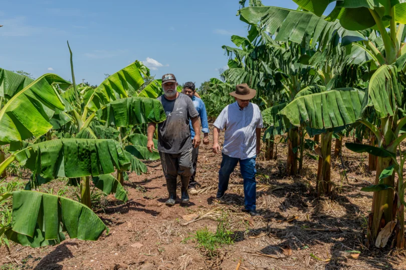 Agricultura Familiar Em Cuiabá: Suporte Técnico E Dicas De Venda Para Alimentos Frescos 1 2026 word2