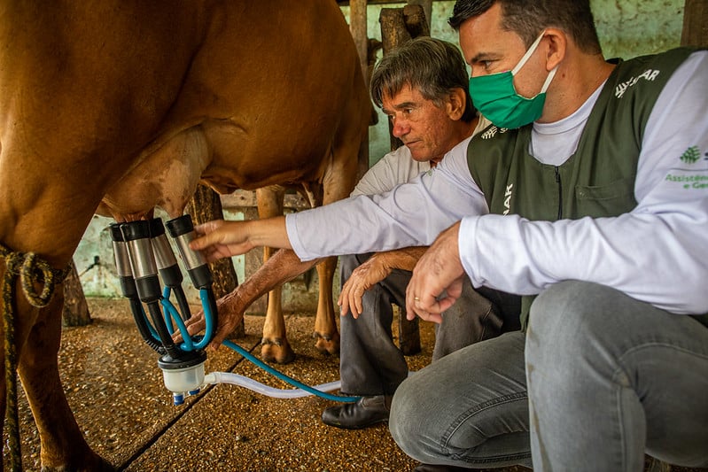 Impactos Da Reforma Tributária Na Produção De Leite Em Mt: Palestra Esclarecedora Para Produtores 1 2026 word2